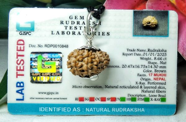 17 mukhi pic