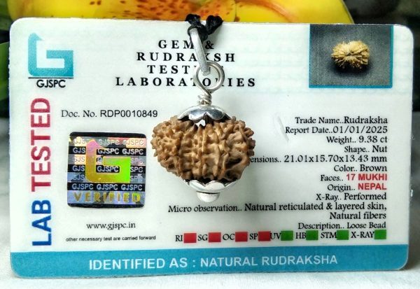17 mukhi pic