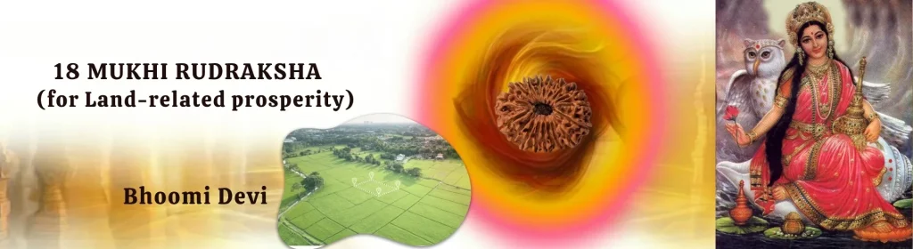 18 MUKHI RUDRAKSHA banner