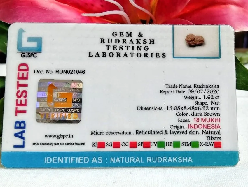 18 Mukhi Certificate