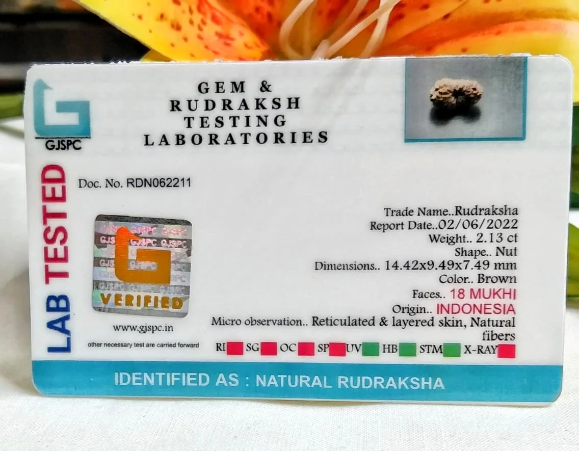 18 Mukhi Certificate