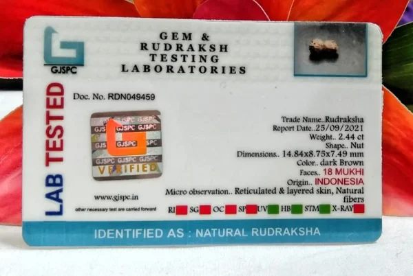 18 Mukhi Certificate