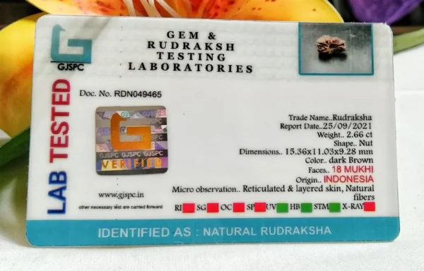 18 Mukhi Certificate
