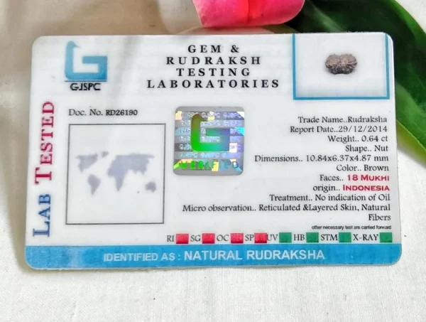 18 Mukhi Certificate