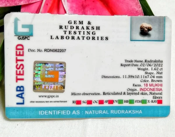 18 Mukhi Certificate