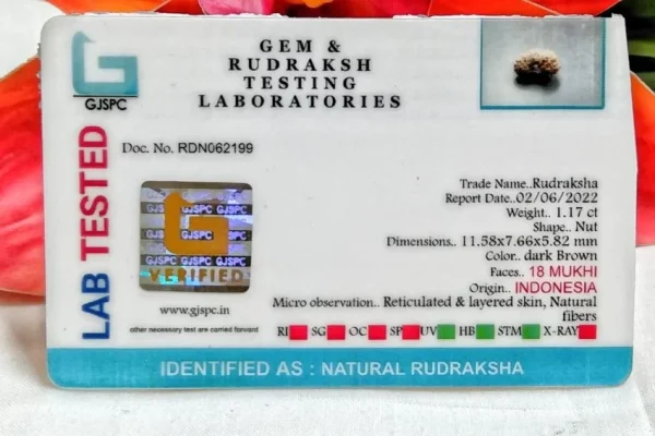 18 Mukhi Certificate