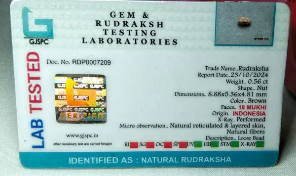 18 Mukhi Certificate