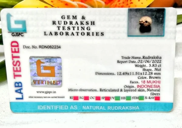 18 Mukhi Certificate