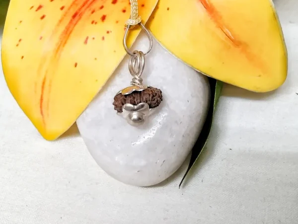 18 Mukhi Rudraksha