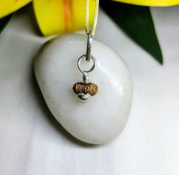 18 Mukhi Rudraksha