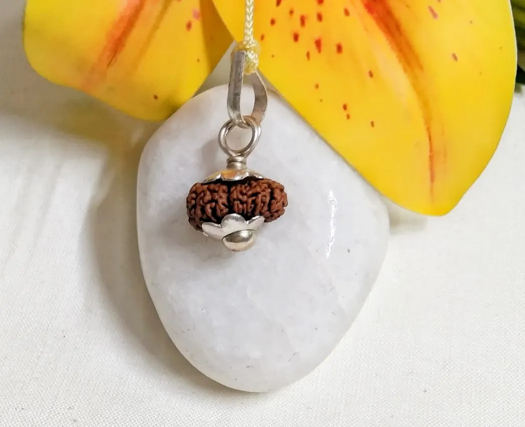 18 Mukhi Rudraksha