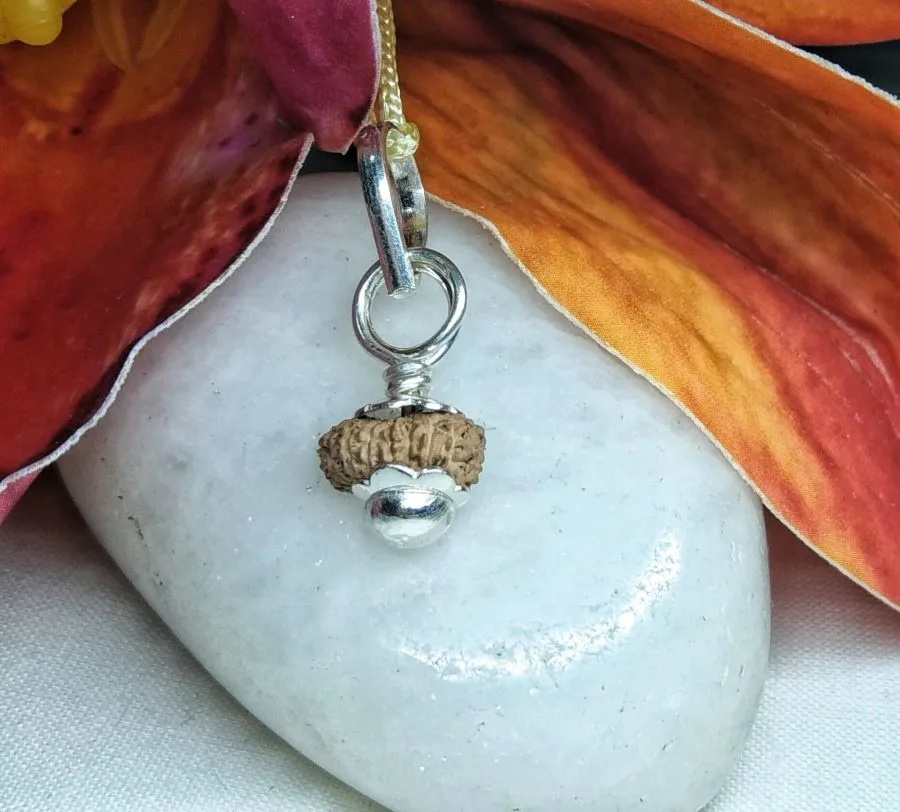 18 Mukhi Rudraksha