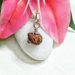 18 Mukhi Rudraksha