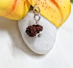 18 Mukhi Rudraksha