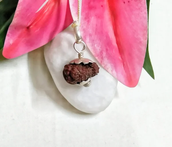 18 Mukhi Rudraksha