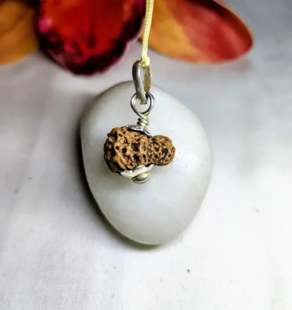 18 Mukhi Rudraksha