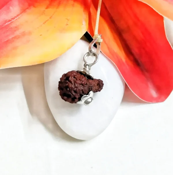 18 Mukhi Rudraksha