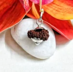 18 Mukhi Rudraksha