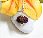 18 Mukhi Rudraksha
