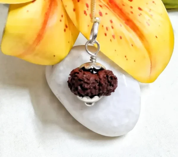 18 Mukhi Rudraksha
