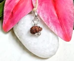 18 Mukhi Rudraksha