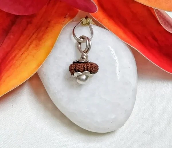 18 Mukhi Rudraksha