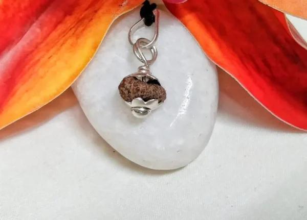 18 Mukhi Rudraksha