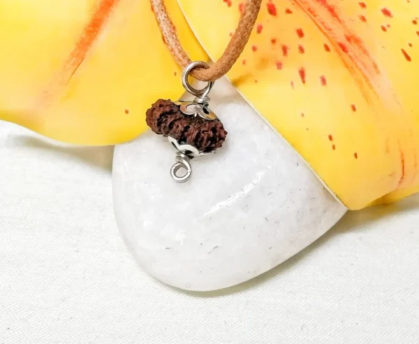 18 Mukhi Rudraksha