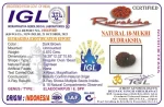 18 Mukhi Rudraksha