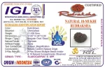 18 Mukhi Certificate