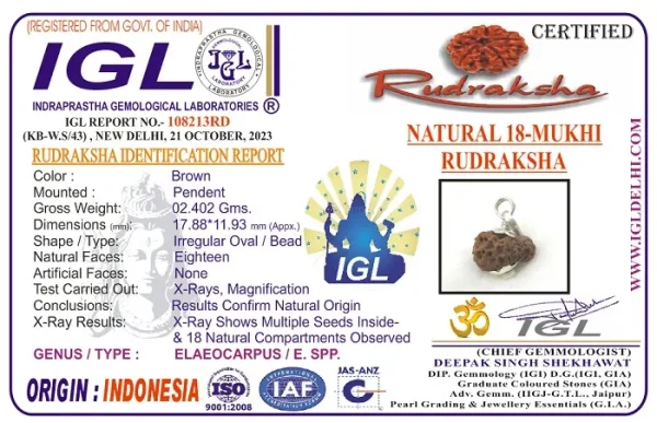 18 Mukhi Certificate