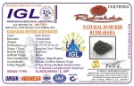 18 Mukhi Certificate