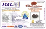 18 Mukhi Certificate