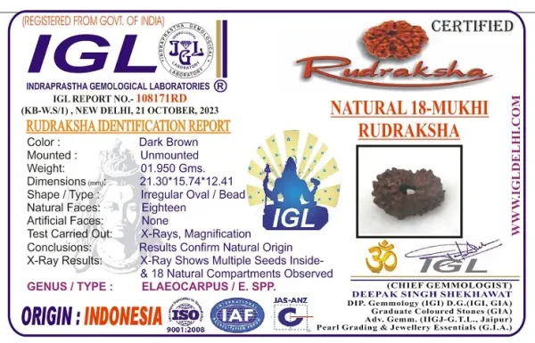 18 Mukhi Certificate