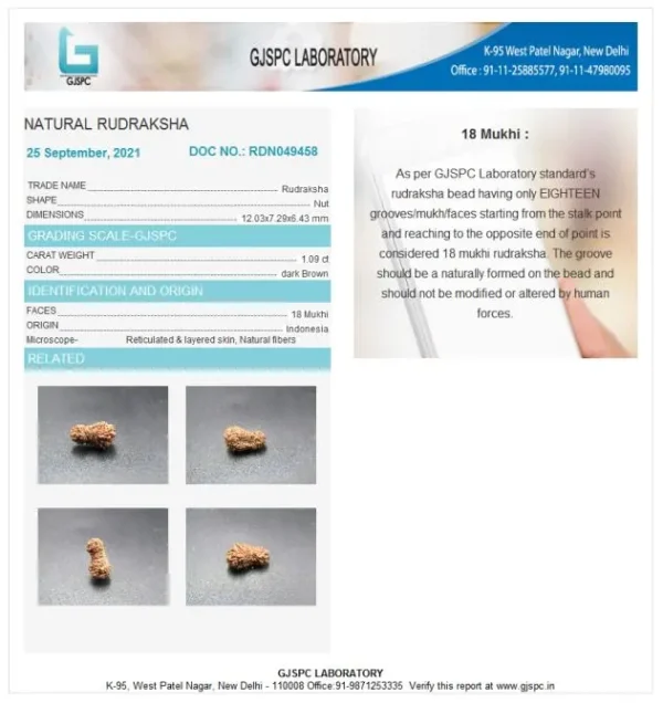 18 Mukhi Certificate