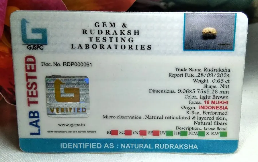 18 Mukhi Certificate