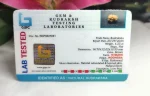19 Mukhi Certificate