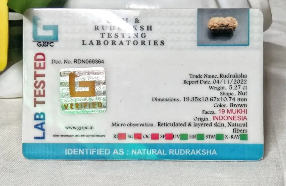 19 Mukhi Certificate