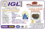 19 Mukhi Certificate