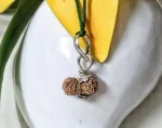 19 Mukhi Rudraksha