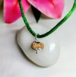19 Mukhi Rudraksha
