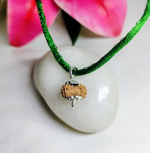 19 Mukhi Rudraksha