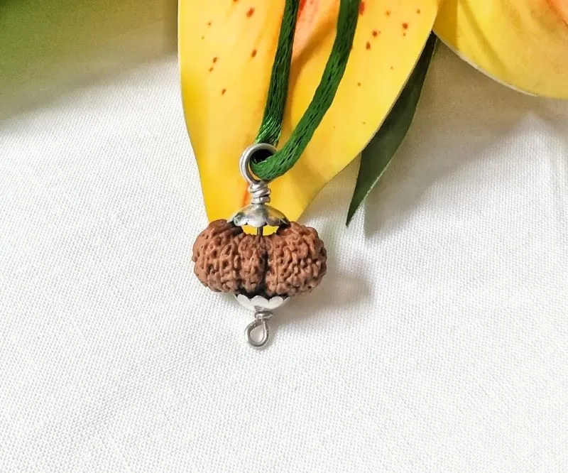 19 Mukhi Rudraksha