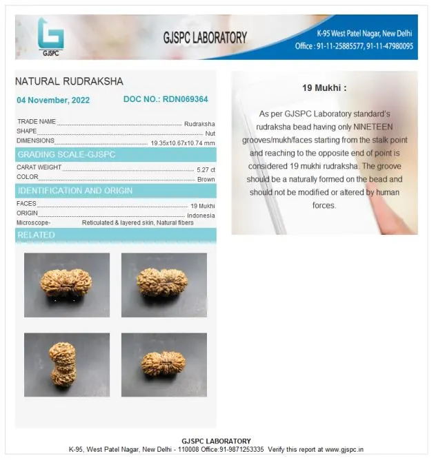 19 Mukhi Certificate