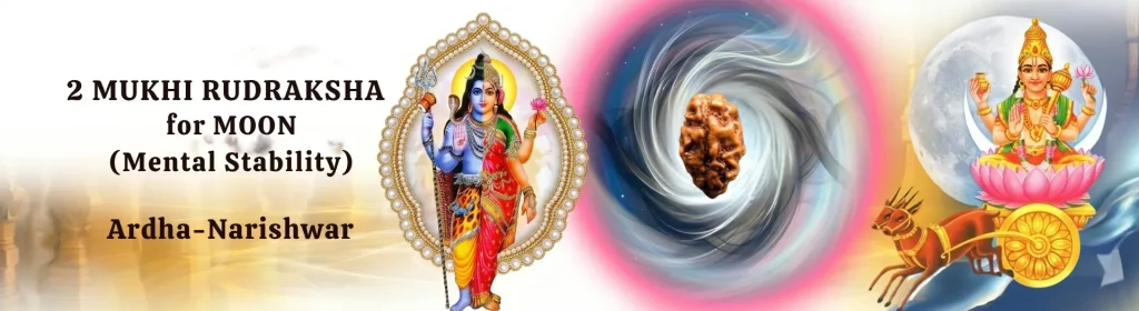 2 MUKHI RUDRAKSHA