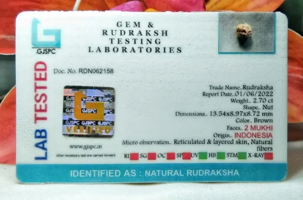 2 Mukhi Certificate