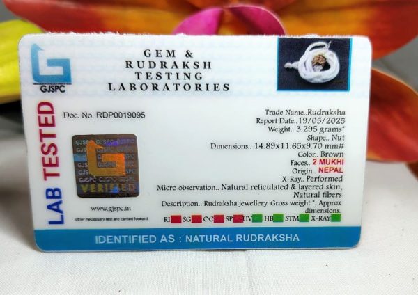2 Mukhi Certificate