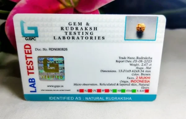 2 Mukhi Certificate