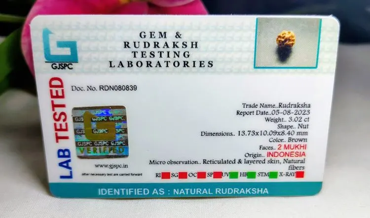 2 Mukhi Certificate