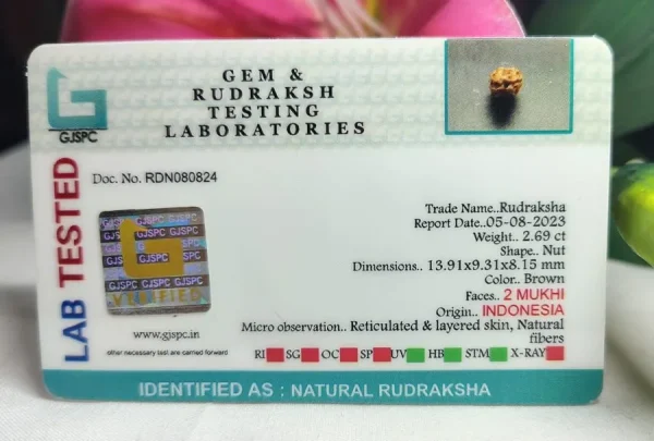 2 Mukhi Certificate